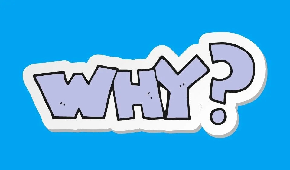 The Ultimate Guide To Hire Full-Stack Developers in 2022 6 why to hire full-stack developers?