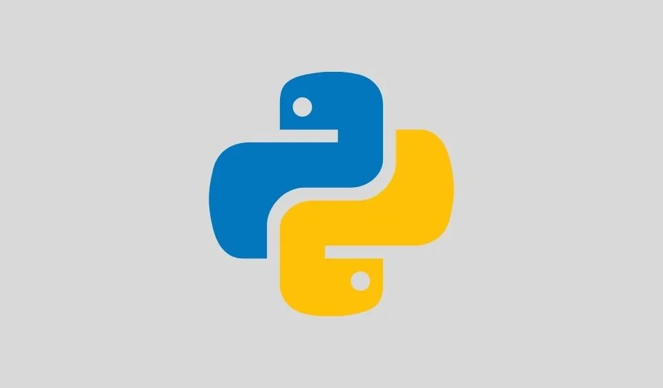 Top Skills In Demand To Hire Remote Developers in 2022 6 python