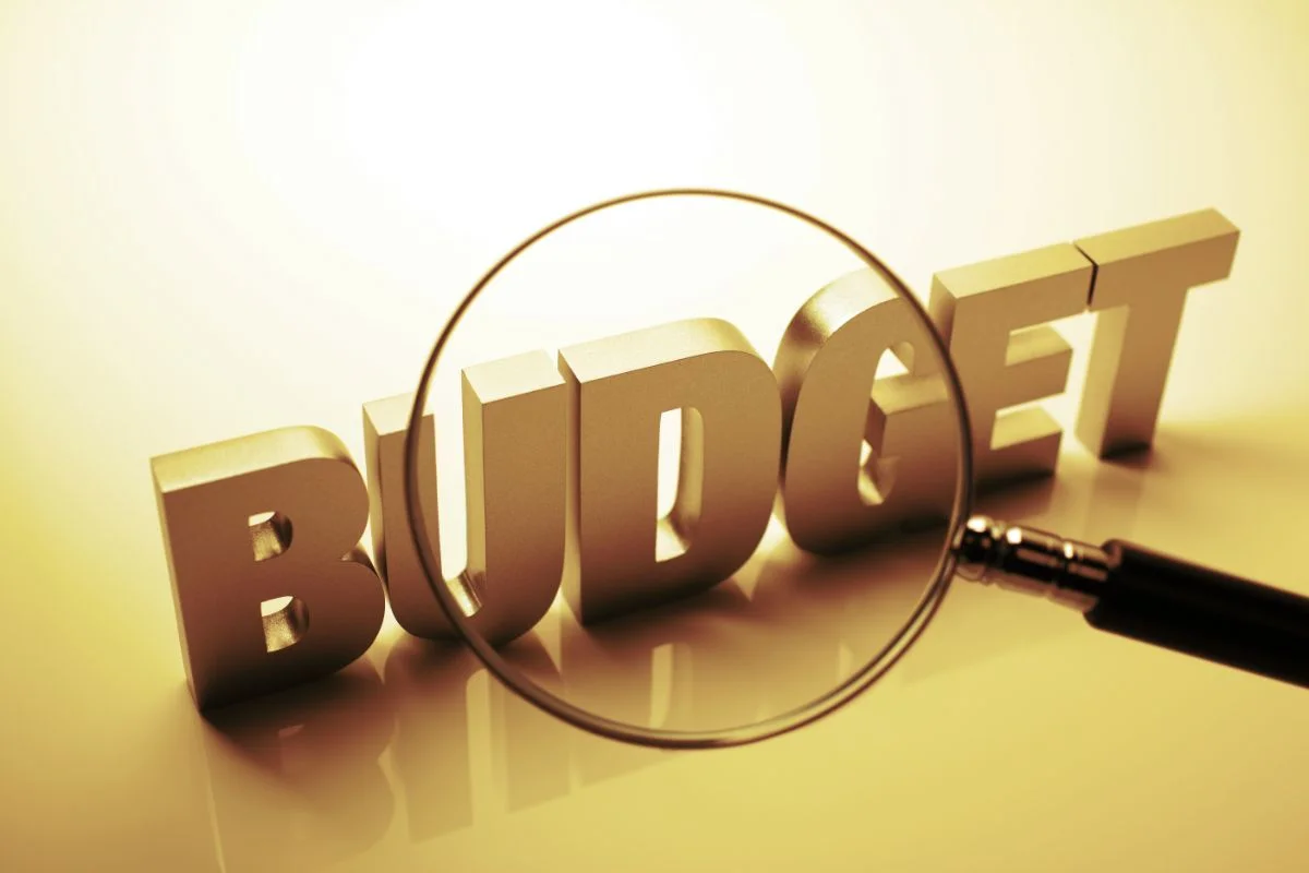 How Do RPAs Perfect the Healthcare Sector? 13 Budget Estimation